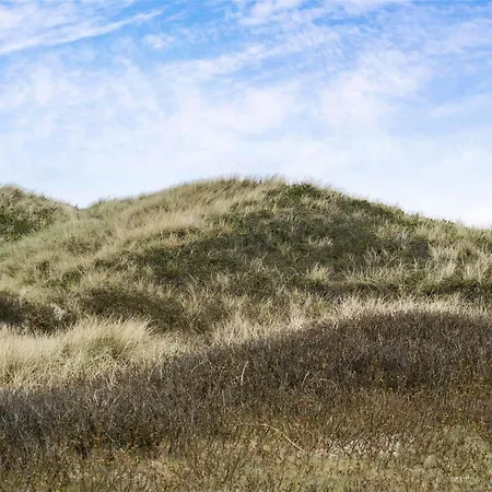 50126-ulfborg-bjerghuse-43