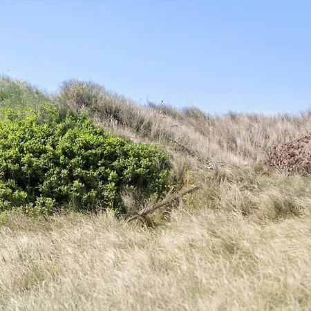 50126-ulfborg-bjerghuse-43 Semesterbostad *